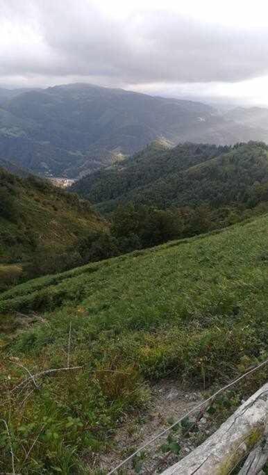 Encanto Asturiano Aller Eksteriør bilde